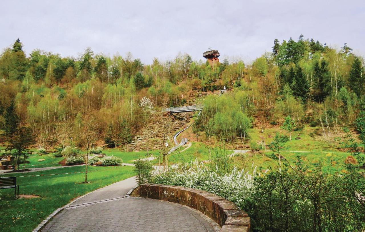 Cozy Apartment In Hinterweidenthal With Sauna Zewnętrze zdjęcie