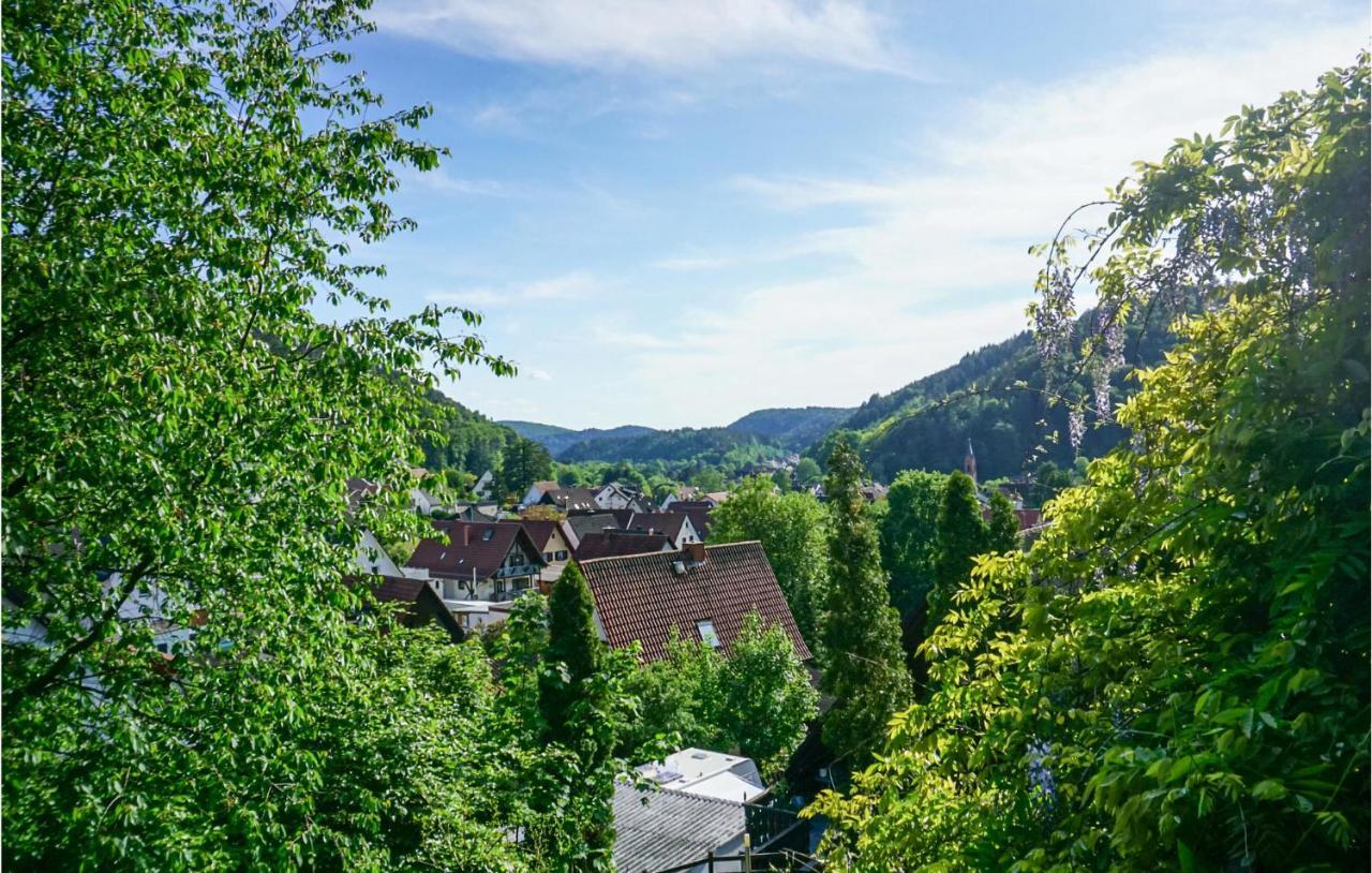 Cozy Apartment In Hinterweidenthal With Sauna Zewnętrze zdjęcie